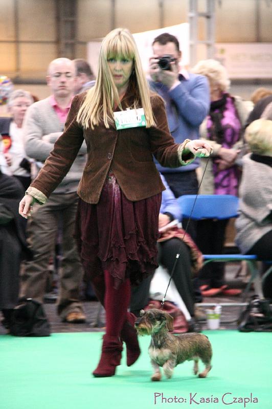 Crufts2011_2 1609.jpg